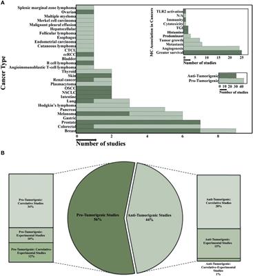 Harnessing the Anti-Tumor Mediators in Mast Cells as a New Strategy for Adoptive Cell Transfer for Cancer